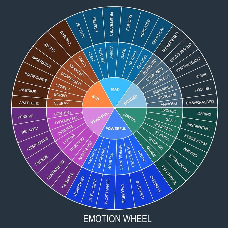 Emotion wheel graphic